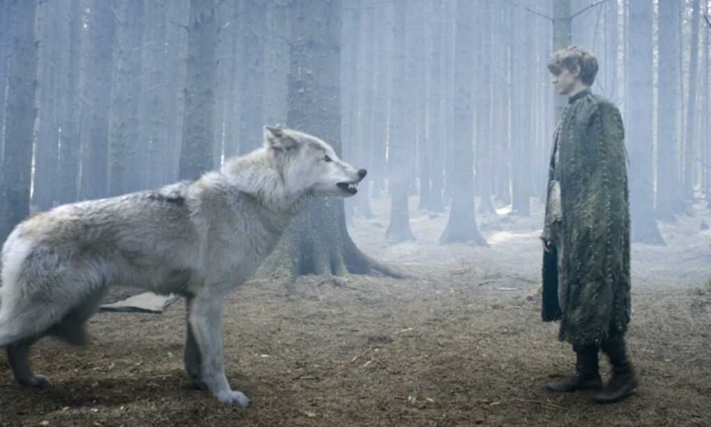 10 Facts About Dire Wolves