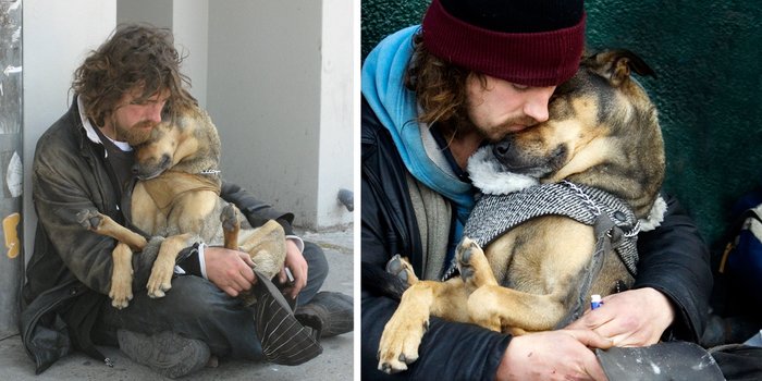 Homeless People And Dogs