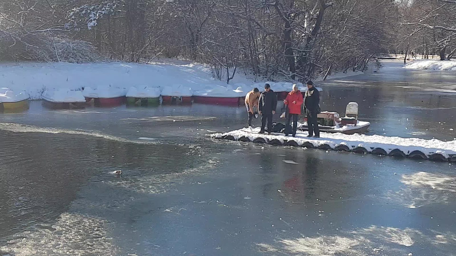 Rescue Dog From A Frozen Pond