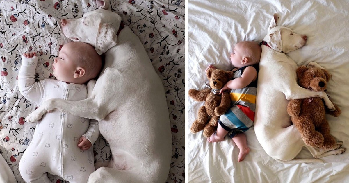 Traumatized dog is terrified of humans except for this baby, so Mom grabs her camera