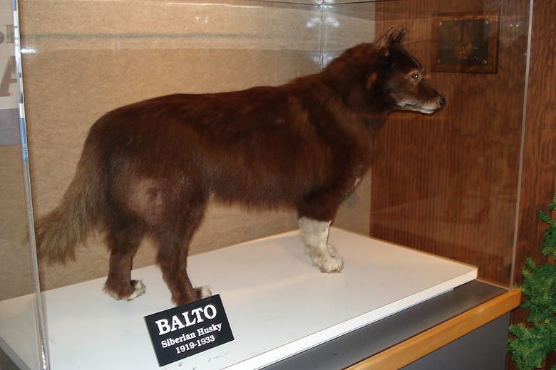 balto