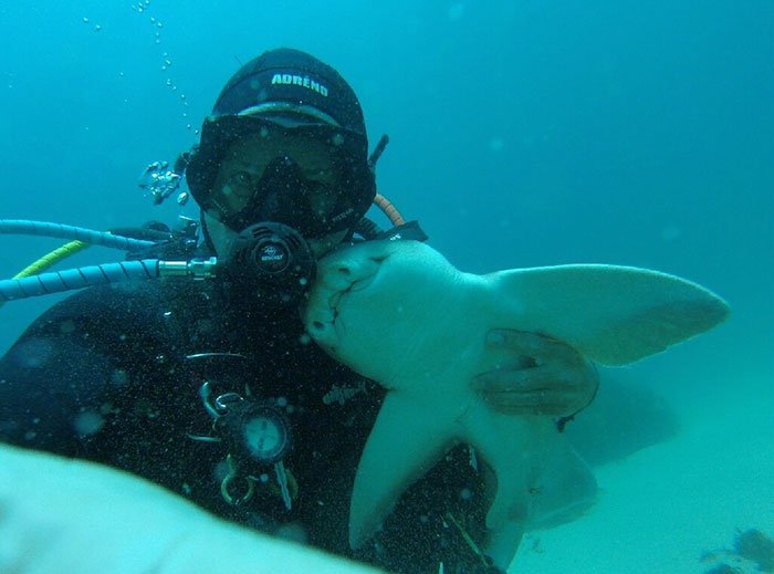 When Rick Anderson Dives Gets Cuddles From His Shark Friend called Port Jackson. This is the story of an Australian diving man that has developed a friendship with a female shark for the past seven years.