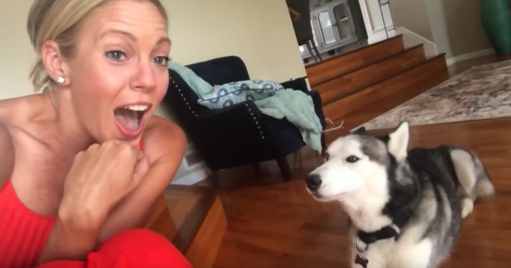 Husky Says I Love You To His Mom