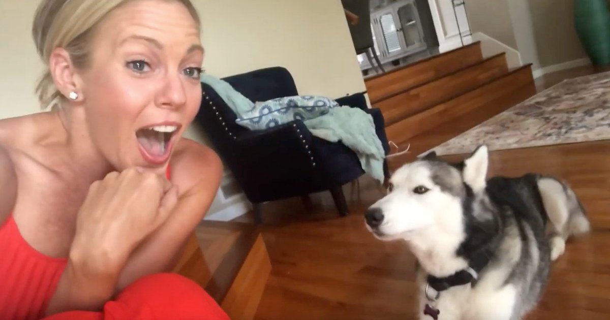 Husky Says I Love You To His Mom