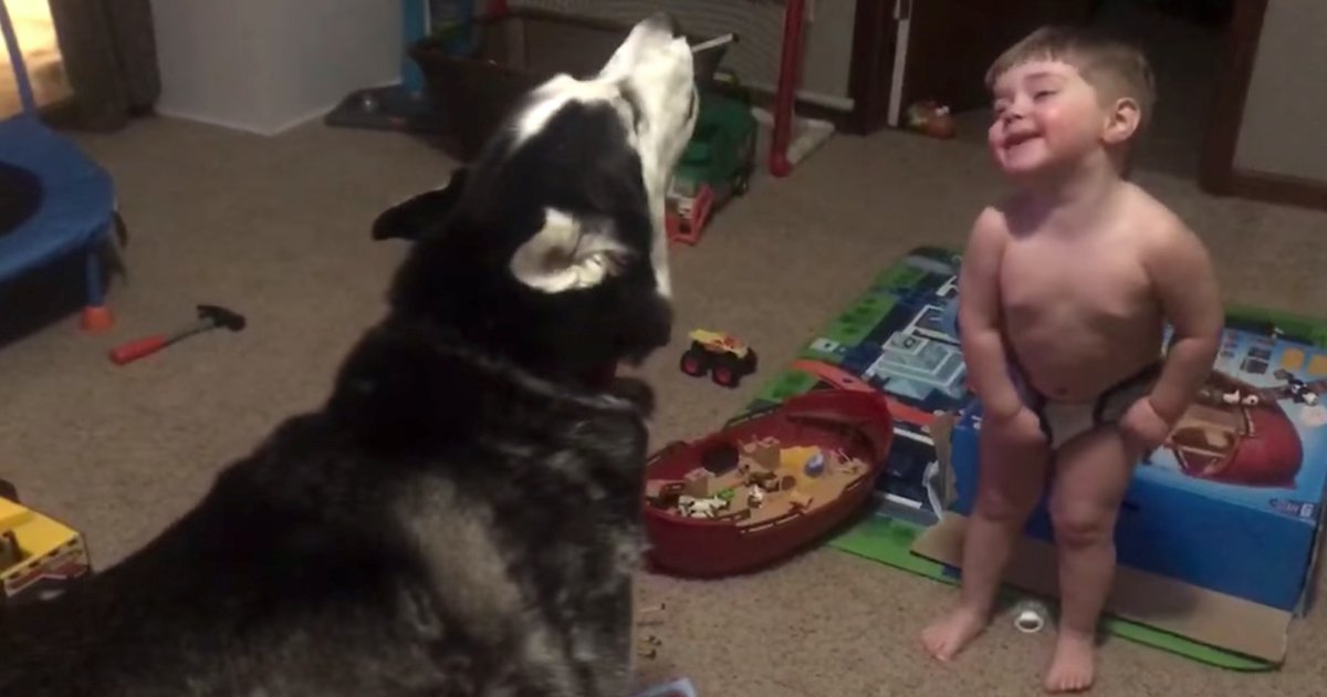 Little Boy Learns He Can Speak Husky, Carries On Convo With His Dog