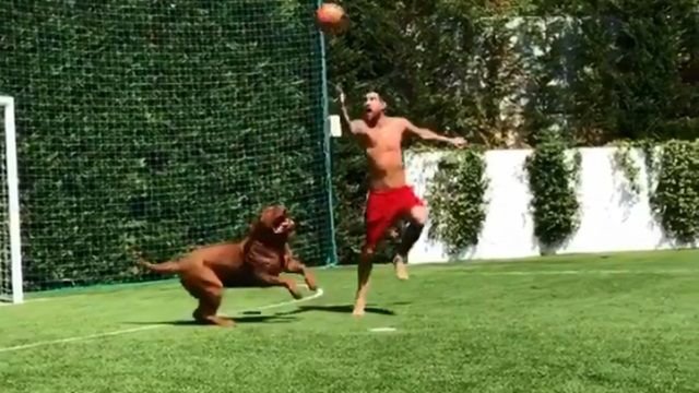 Messi really enjoys making his dog look silly