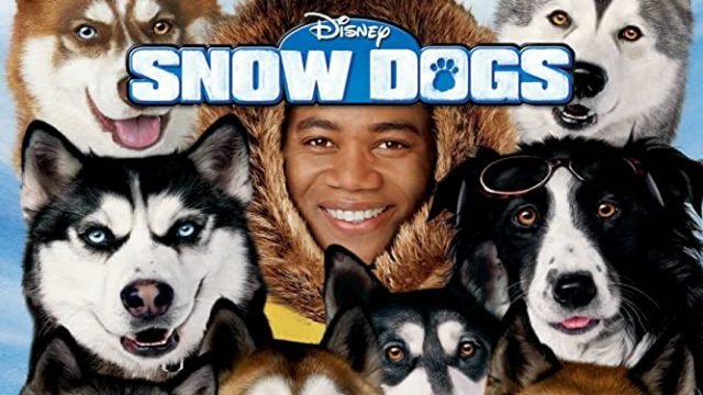 20 Best Dog Sledding Movies of All-Time - Husky Lovers