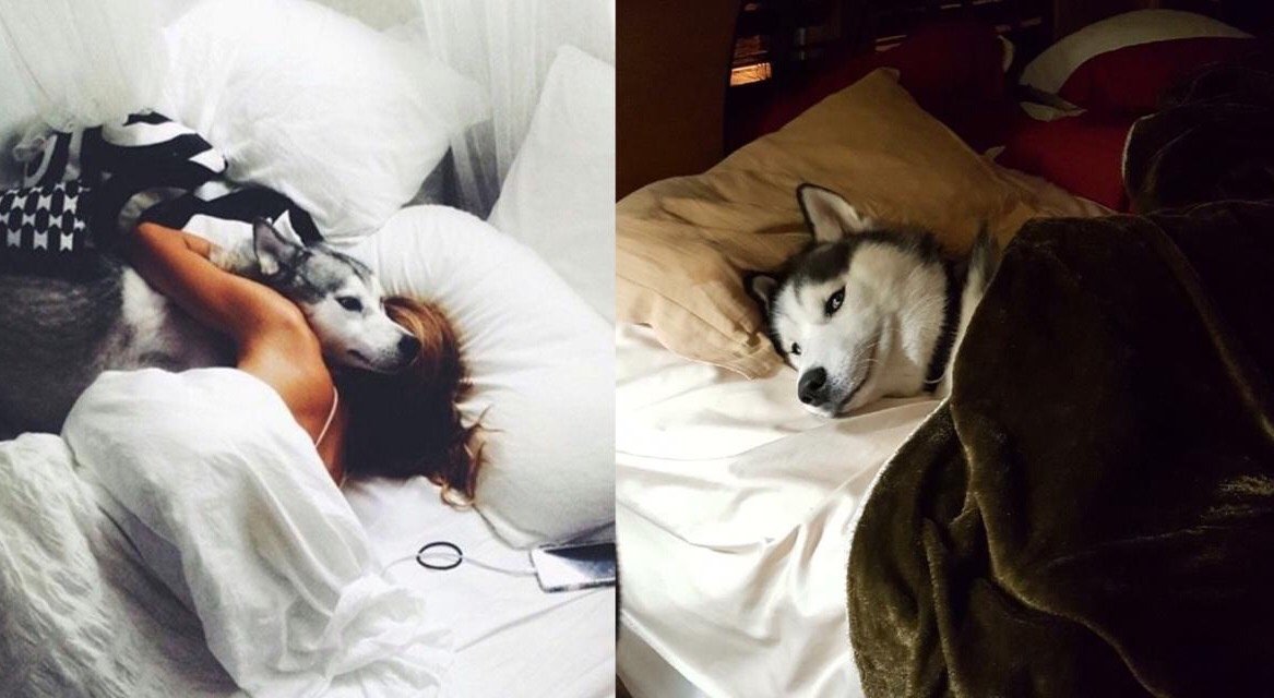 Women Sleep Better With Dogs