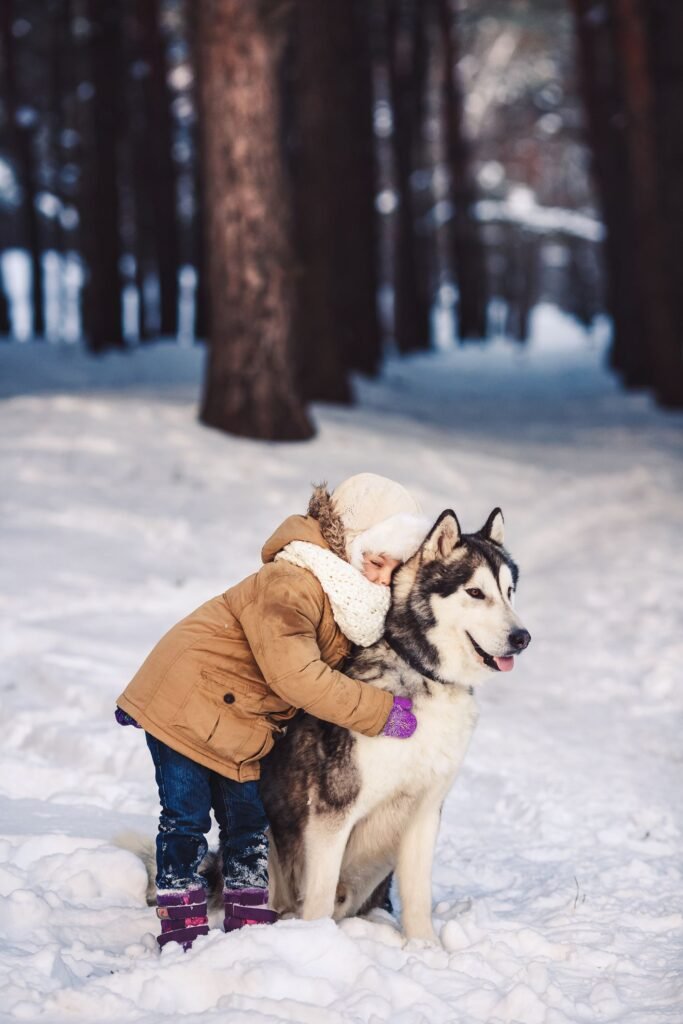 human-husky pure love