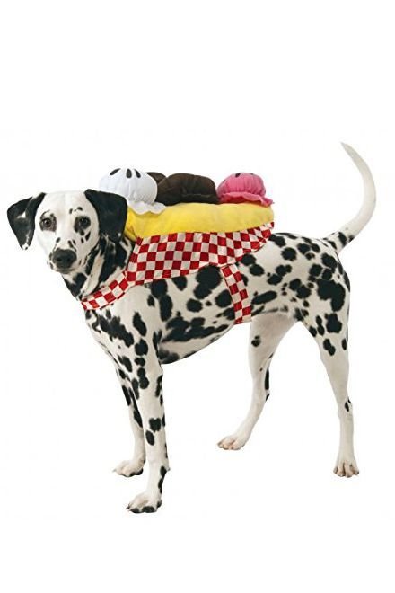 Dog Costumes For Halloween