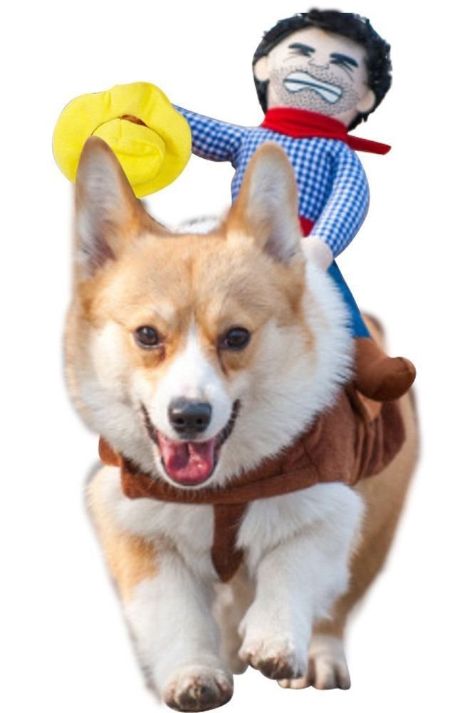 cowboy costume for dogs