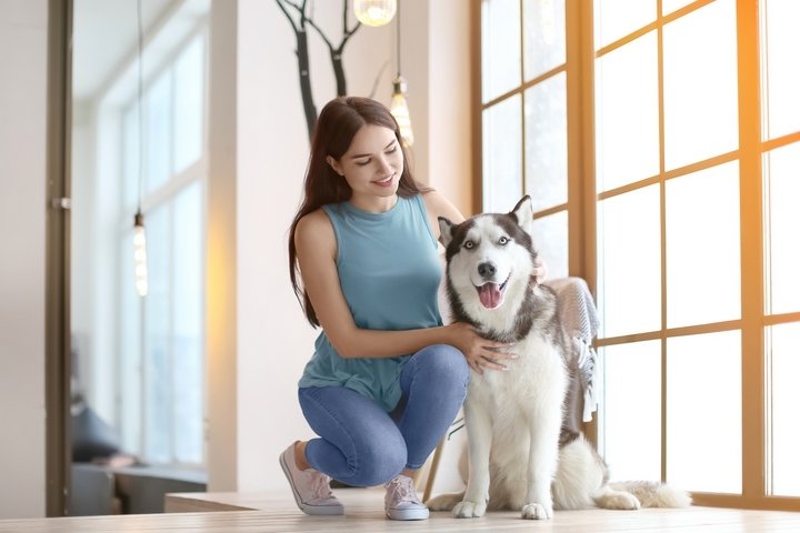 Best Qualities Of The Siberian Husky 