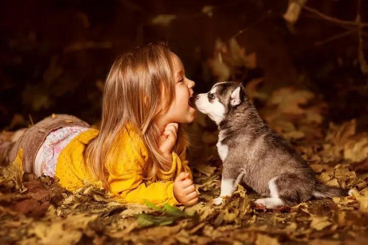 Husky and kids, best friends 