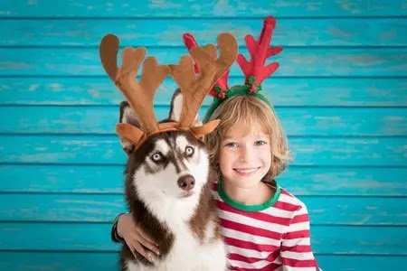 Husky and kids, best friends 