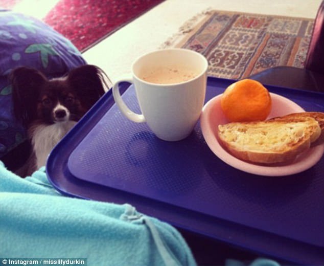 Owners share photos of the hilarious ways their pets