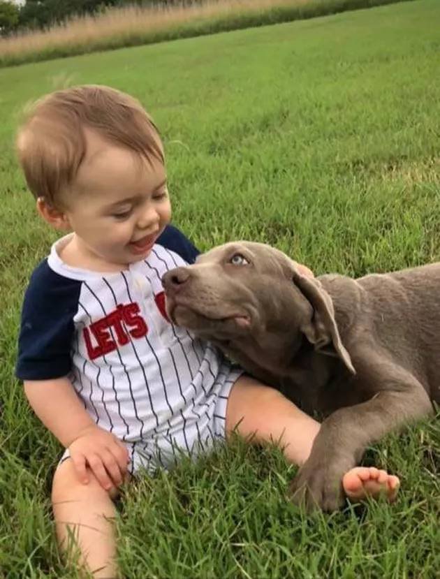 babies and canine