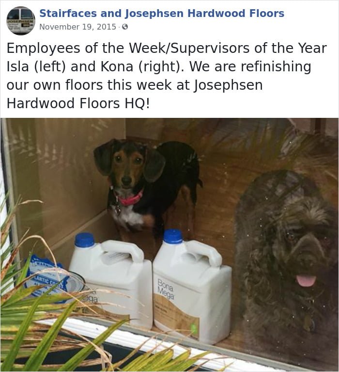 Employee Of The Week' Award