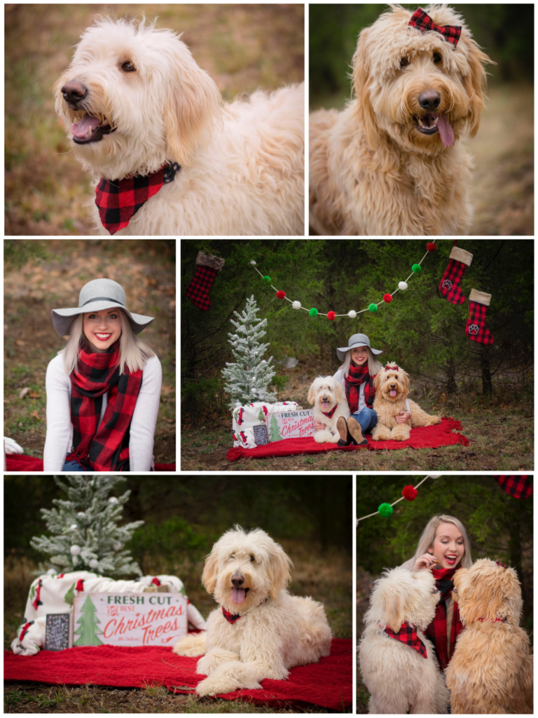 Celebrate Christmas With Your Fur Babies