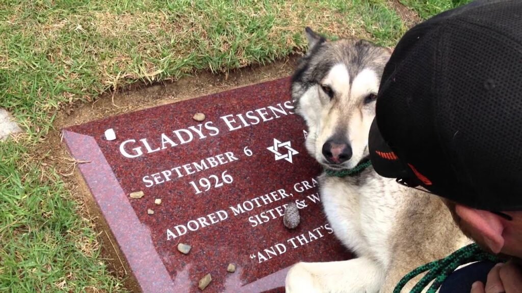 Dog Visited Owner's Grave