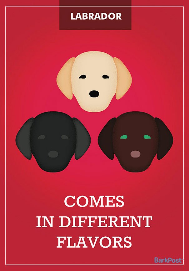 Honest Dog Breed Slogans