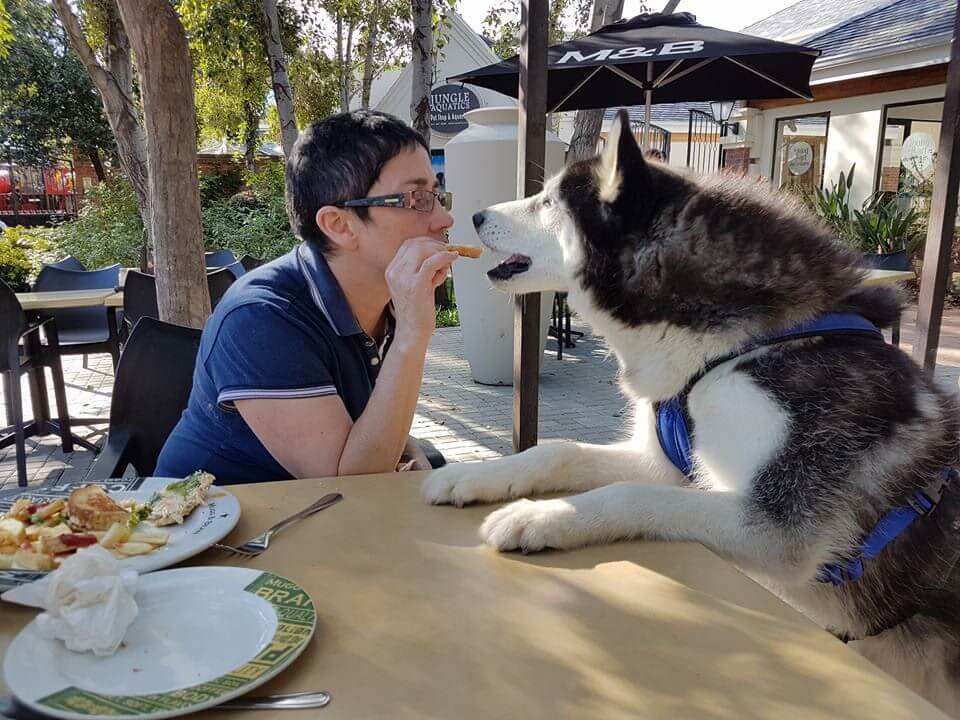 Huskies are awesome 
