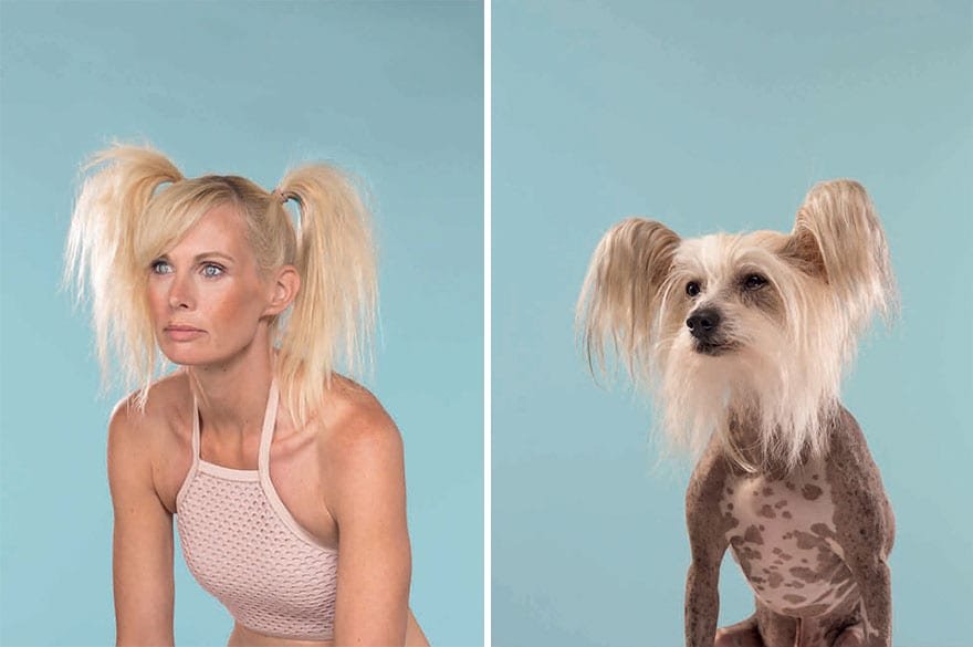 Photos Of Dogs And Their Owners