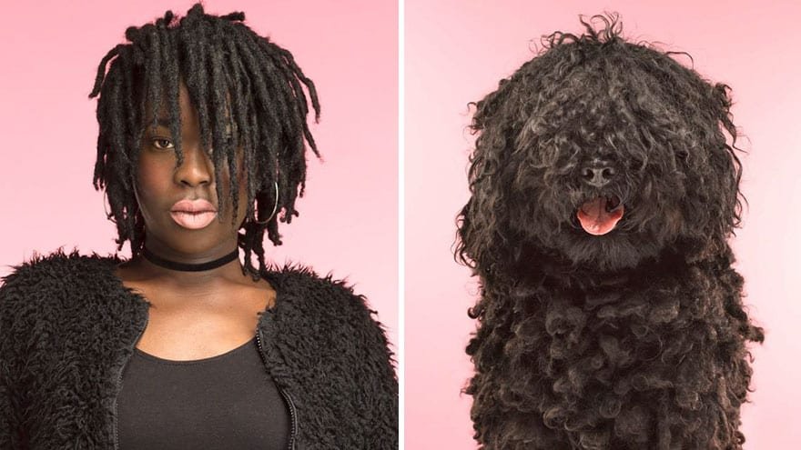 Photos Of Dogs And Their Owners