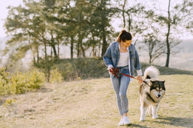 Pulling Tight On Your Dog’s Leash