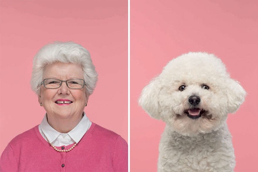 Photos Of Dogs And Their Owners