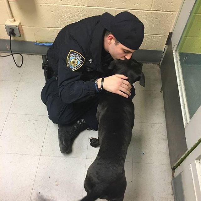 Officer Adopts Abandoned Dog