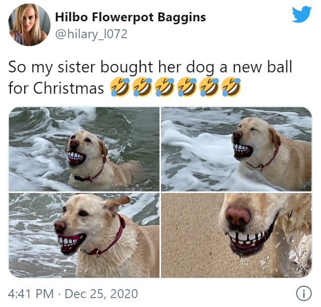 Purest Dog Posts