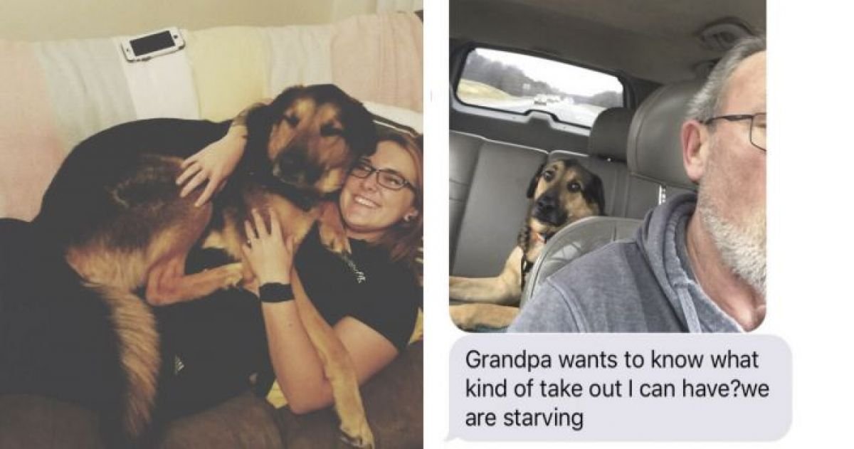 Woman Leaves Her Dog With Dad, Receives Most Hilarious Updates