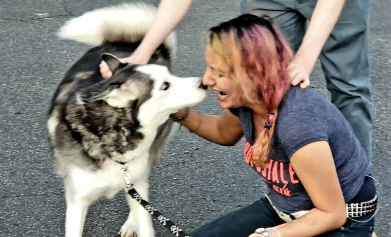 15 Times Dogs Returned To Their Home After Going Missing & It’s Heartwarming