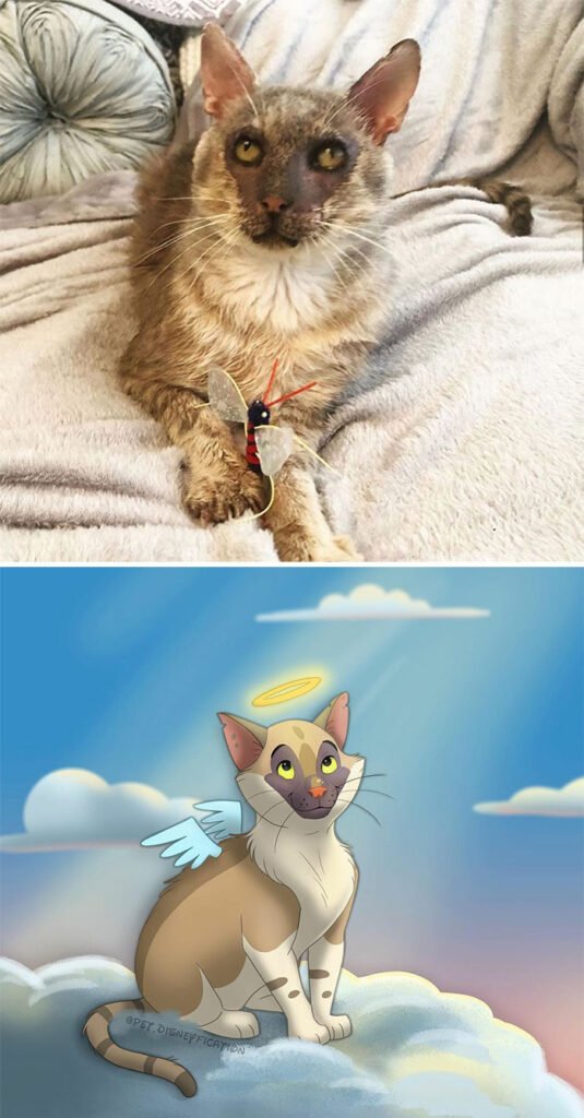 Artist “Disneyfies” Peoples’ Pets