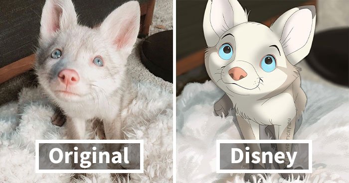 This Artist “Disneyfies” Peoples’ Pets